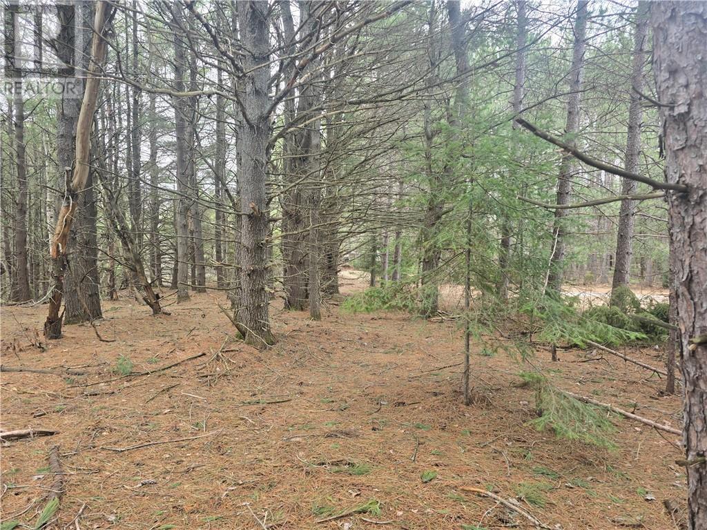 Lot 7 Laurin Road, West Nipissing, Ontario  P0M 2M0 - Photo 5 - 2127431