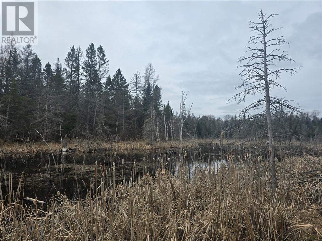 Lot 7 Laurin Road, West Nipissing, Ontario  P0M 2M0 - Photo 10 - 2127431
