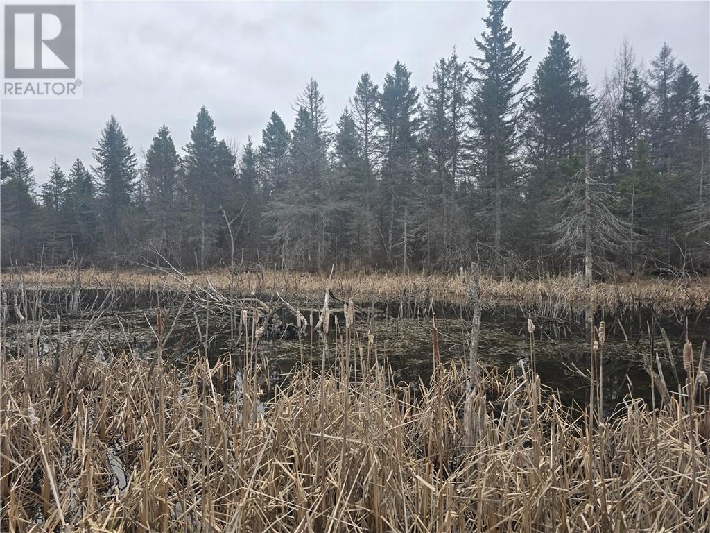 Lot 7 Laurin Road, West Nipissing, Ontario  P0M 2M0 - Photo 11 - 2127431