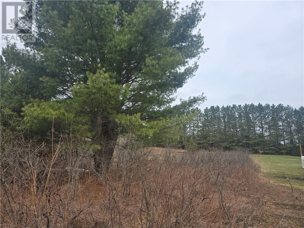 Lot 7 Laurin Road, West Nipissing, Ontario  P0M 2M0 - Photo 9 - 2127431