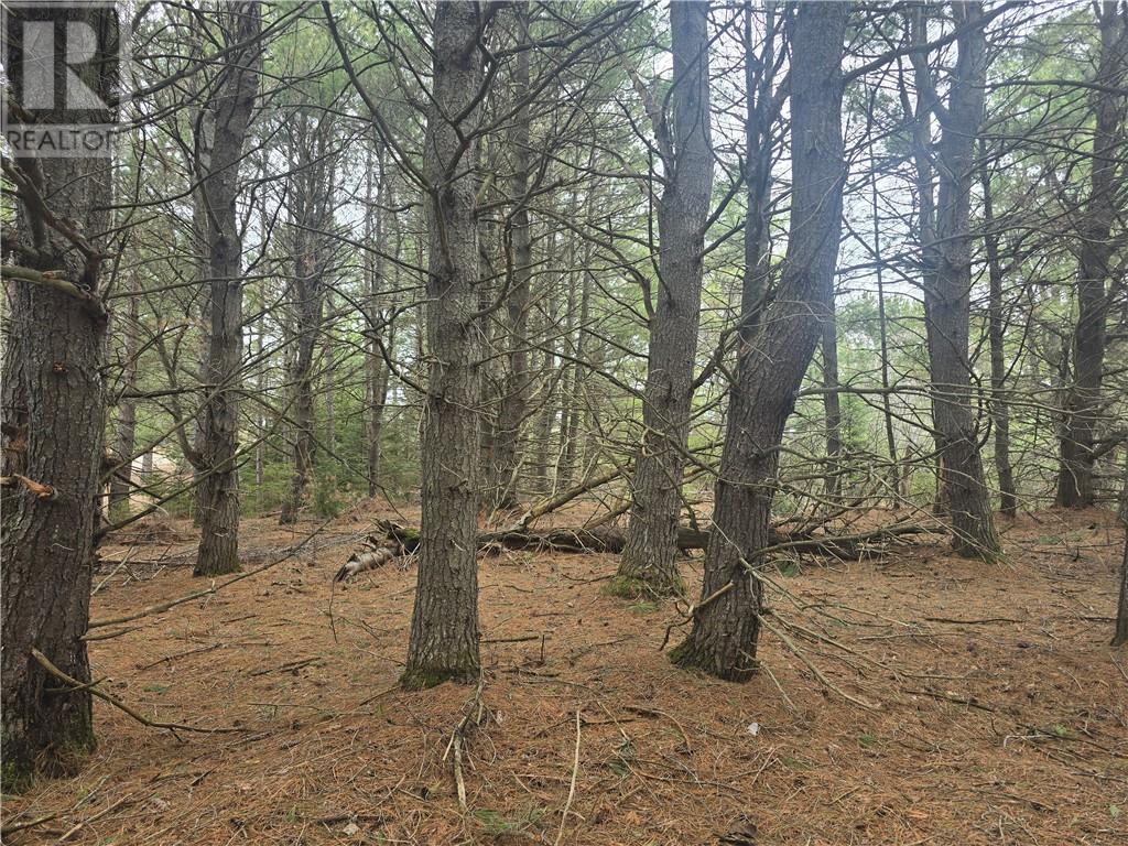 Lot 7 Laurin Road, West Nipissing, Ontario  P0M 2M0 - Photo 6 - 2127431