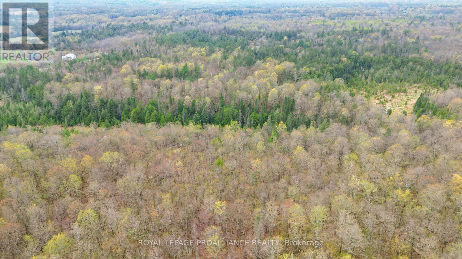 0 Spry Settlement Road, Stirling-Rawdon, Ontario  K0K 3E0 - Photo 6 - X13088992