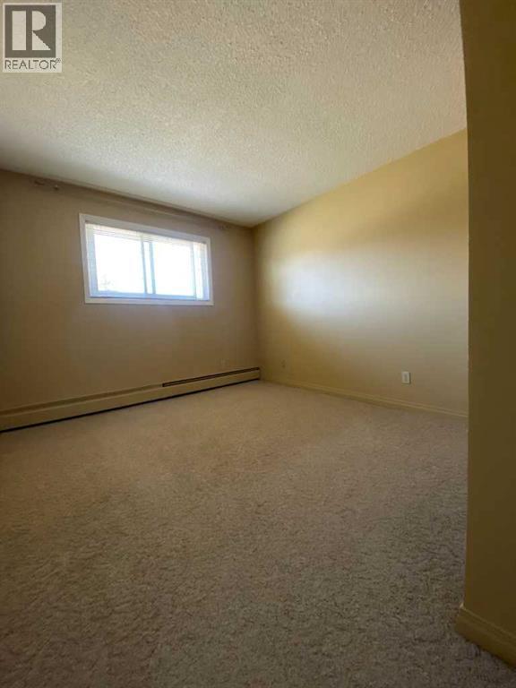 310, 8601 22 Avenue, Coleman, Alberta  T0K 0M0 - Photo 12 - A2302927