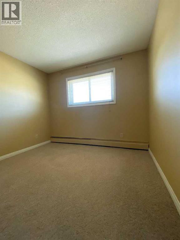 310, 8601 22 Avenue, Coleman, Alberta  T0K 0M0 - Photo 10 - A2302927