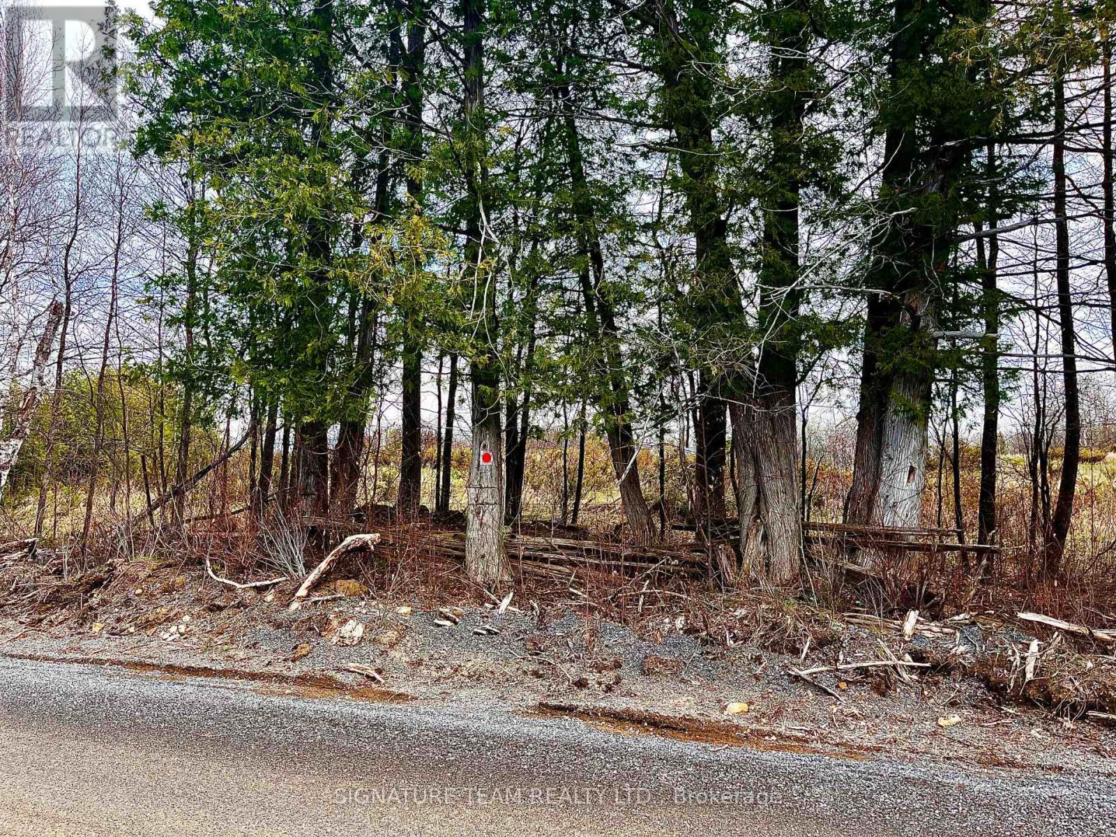1102 Colton Road, Admaston/bromley, Ontario  K7V 3Z5 - Photo 6 - X13088874