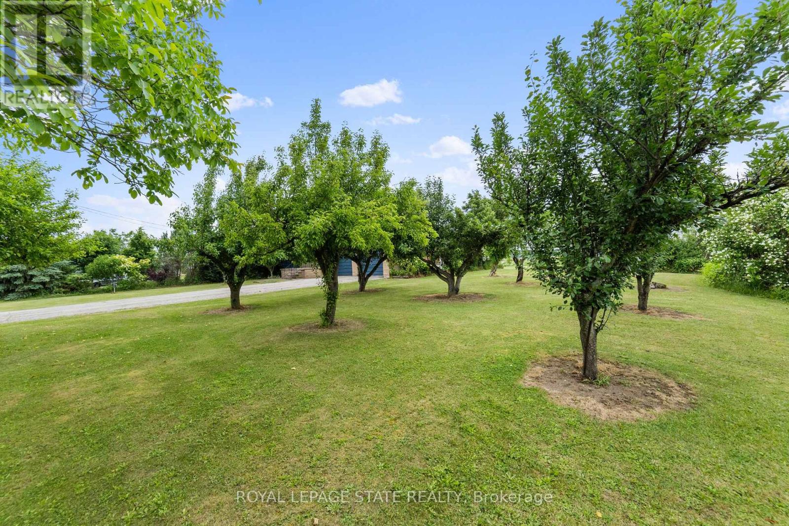 240 Mud Street W, Grimsby, Ontario  L0R 1M0 - Photo 22 - X13089156