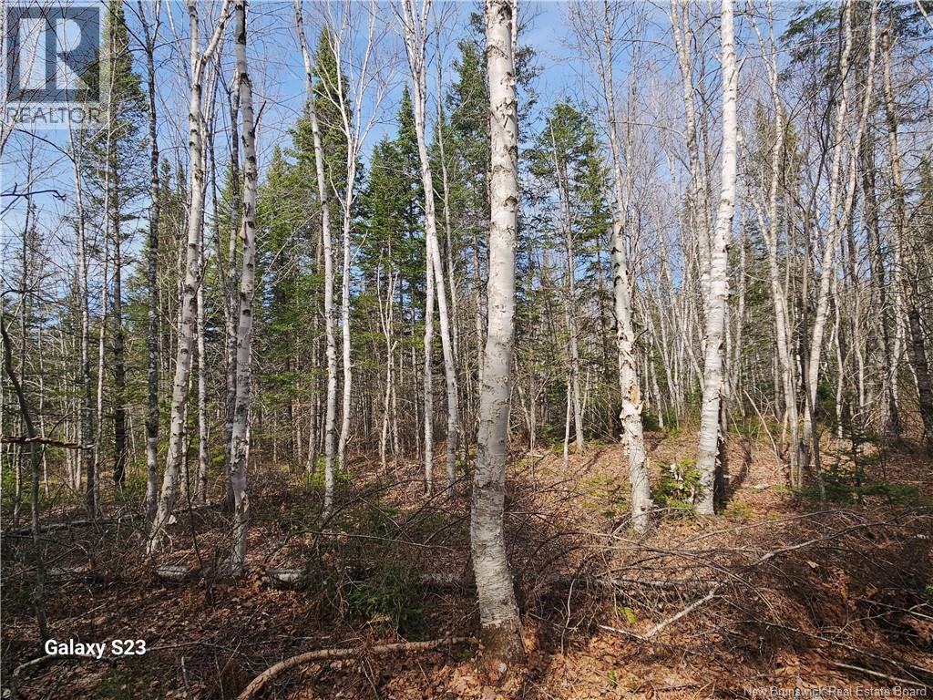 00 Route 118, Chelmsford, New Brunswick  E9E 2G8 - Photo 7 - NB138787