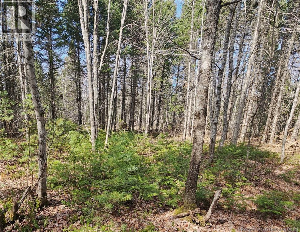 00 Route 118, Chelmsford, New Brunswick  E9E 2G8 - Photo 4 - NB138787