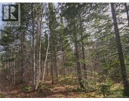 00 Route 118, chelmsford, New Brunswick