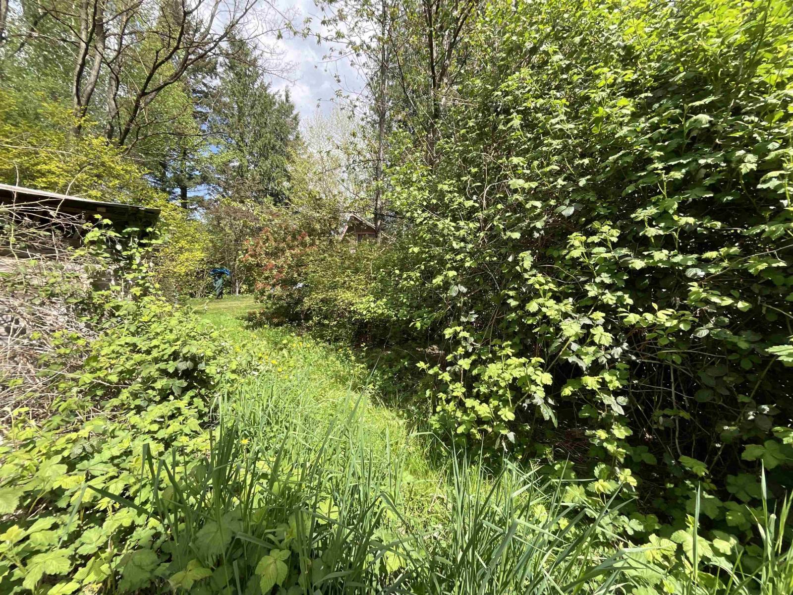 142 Kilby Road, Harrison Mills, Harrison Mills, British Columbia  V0M 1L0 - Photo 8 - R3116450