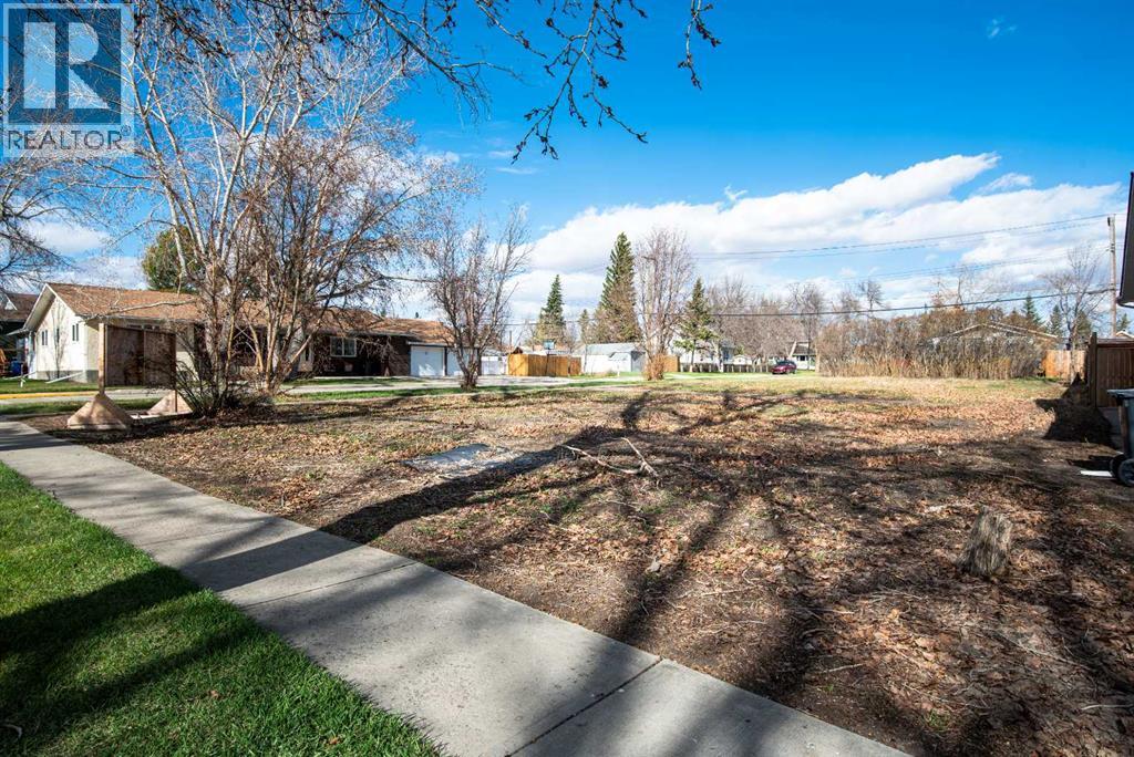 304 4 Avenue Se, Three Hills, Alberta  T0M 2A0 - Photo 11 - A2308459