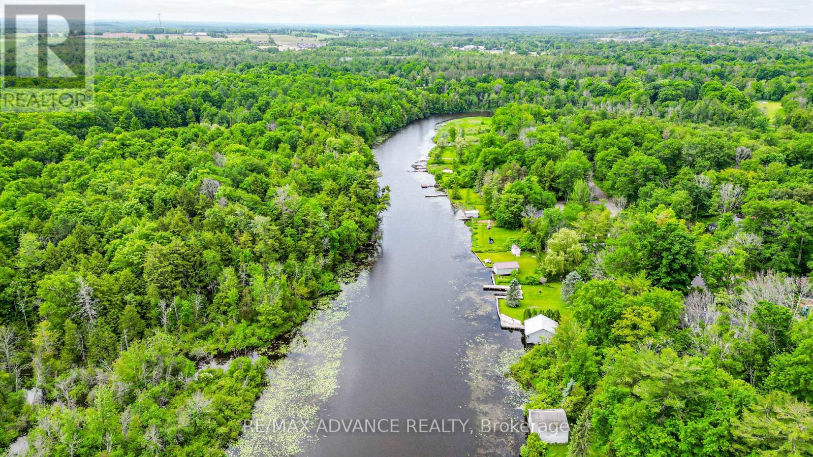 100 Dunkirk Avenue, Georgina, Ontario  L0E 1R0 - Photo 39 - N13089278