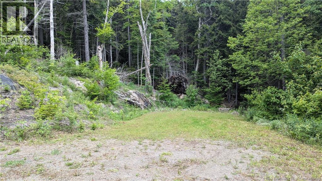 15 Foley Lane, Summerville, New Brunswick  E5S 1B7 - Photo 7 - NB136750