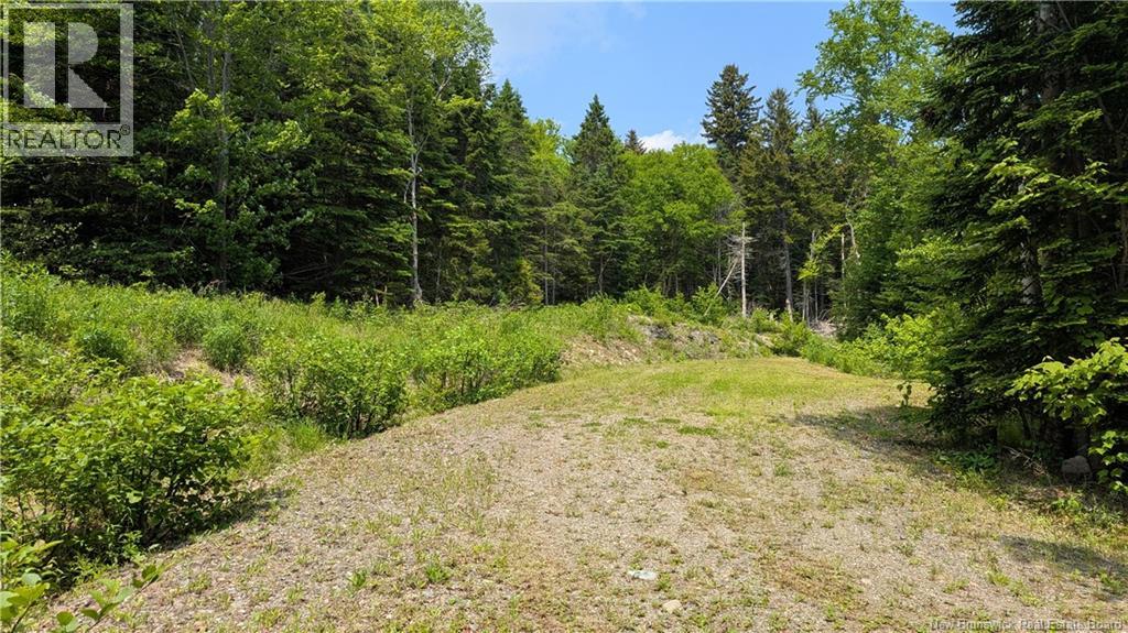 15 Foley Lane, Summerville, New Brunswick