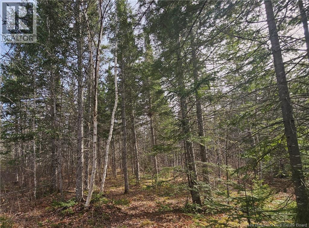 00 Route 118, chelmsford, New Brunswick