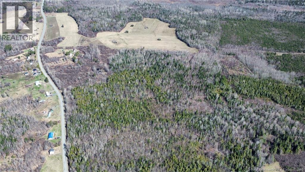 Lot Mckenna Road, Newburg, New Brunswick  E7N 1V9 - Photo 10 - NB138592
