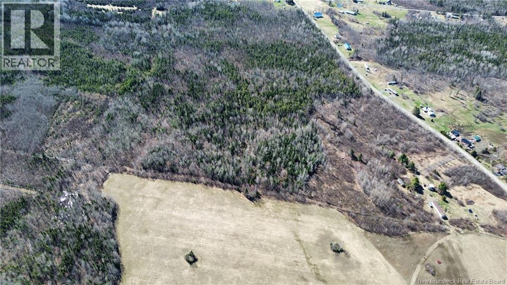 Lot Mckenna Road, Newburg, New Brunswick  E7N 1V9 - Photo 4 - NB138592