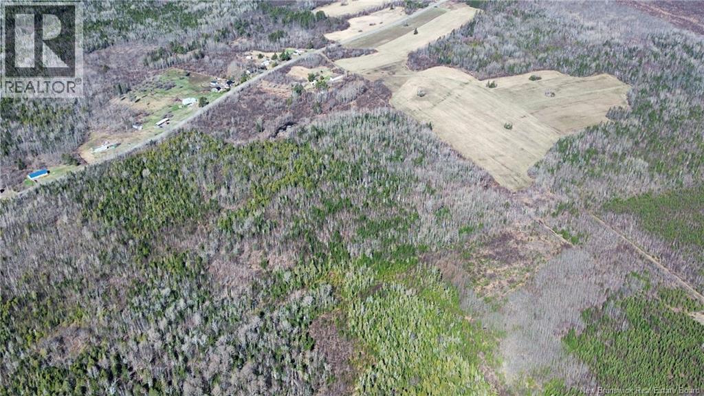 Lot Mckenna Road, Newburg, New Brunswick  E7N 1V9 - Photo 8 - NB138592