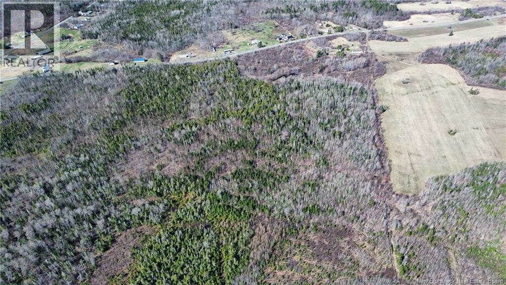 Lot Mckenna Road, Newburg, New Brunswick  E7N 1V9 - Photo 5 - NB138592