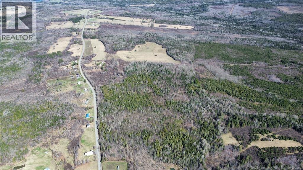 Lot Mckenna Road, Newburg, New Brunswick  E7N 1V9 - Photo 11 - NB138592