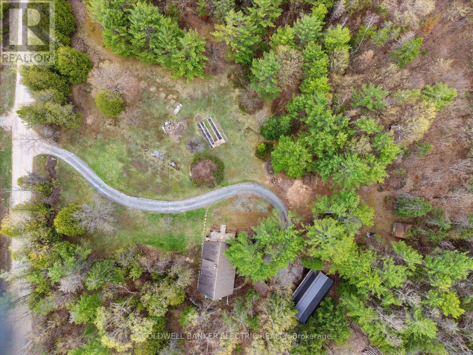 197 Hillside Drive, Kawartha Lakes, Ontario  K0M 1C0 - Photo 47 - X13089560