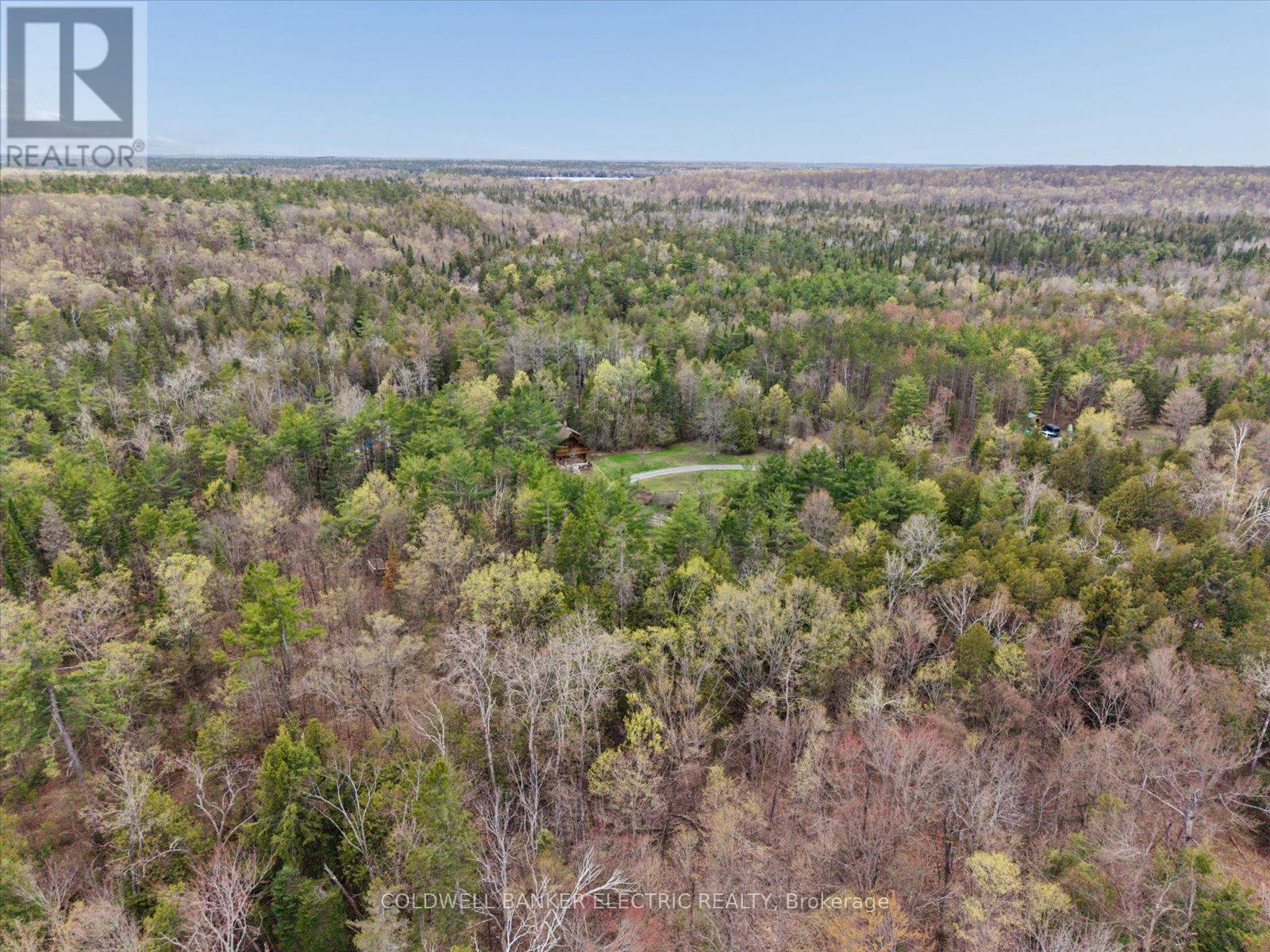 197 Hillside Drive, Kawartha Lakes, Ontario  K0M 1C0 - Photo 48 - X13089560