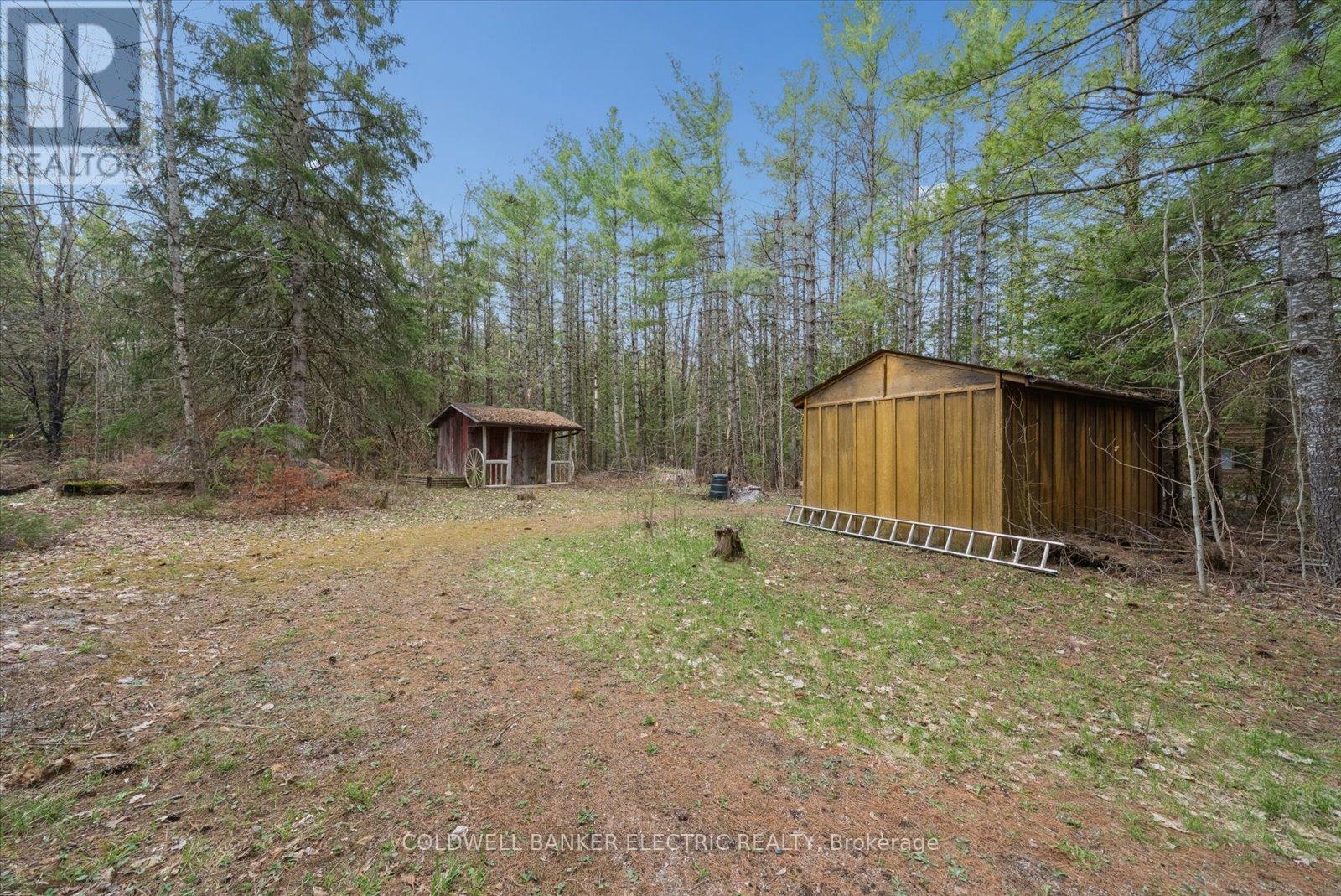 197 Hillside Drive, Kawartha Lakes, Ontario  K0M 1C0 - Photo 49 - X13089560