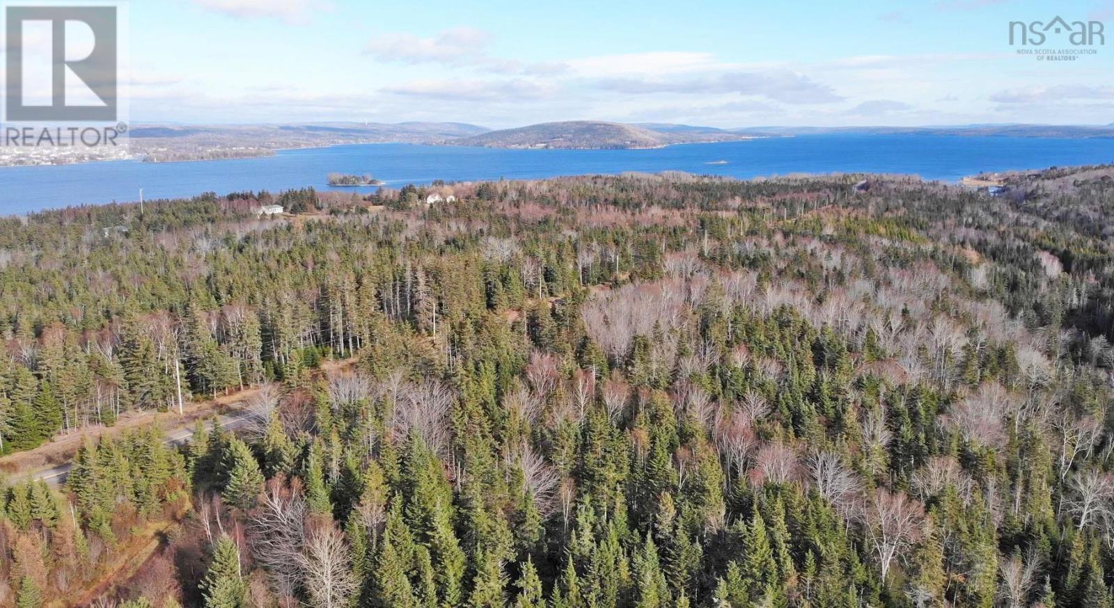 46 Acres Washabuck Road, Lower Washabuck, Nova Scotia  B2C 1N4 - Photo 10 - 202609869