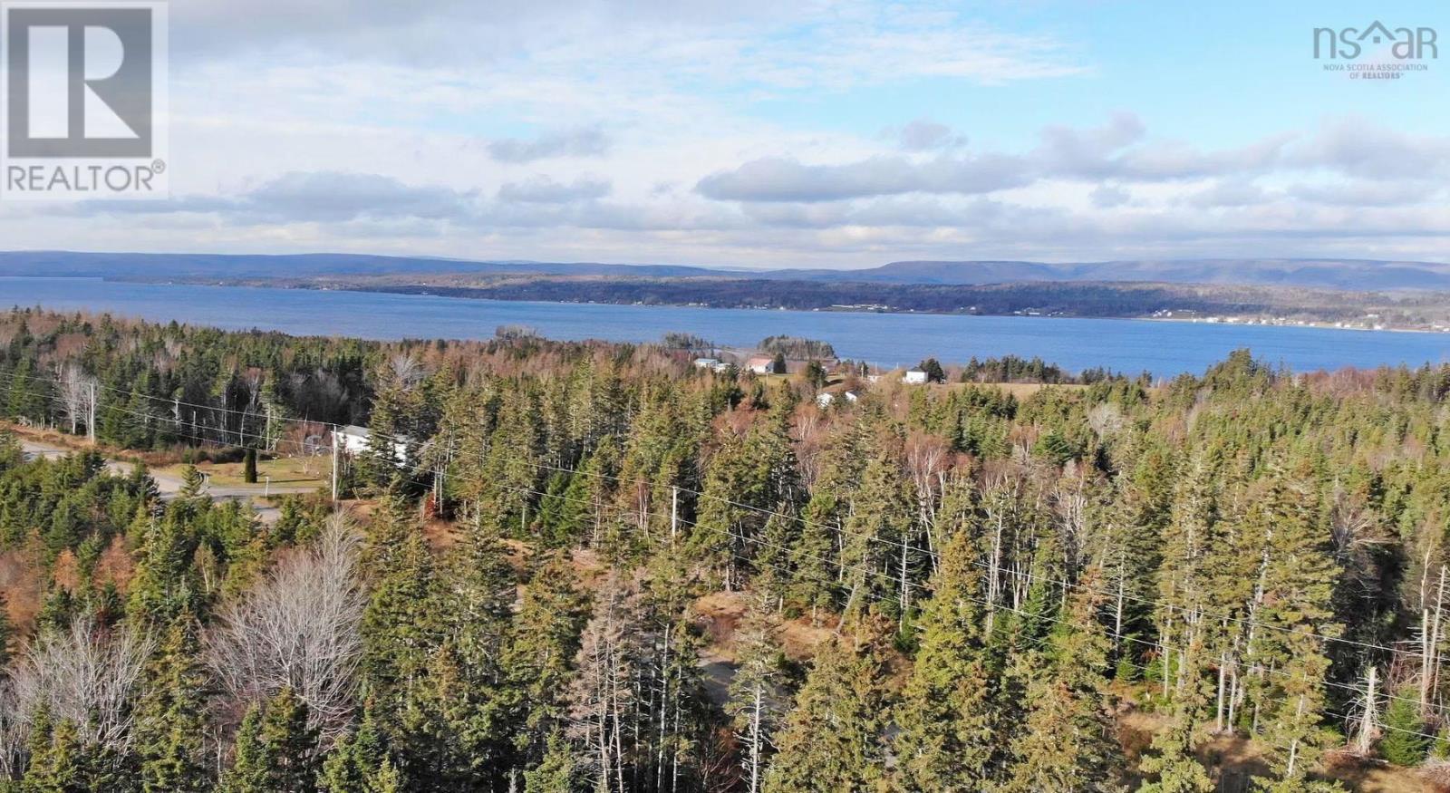 46 Acres Washabuck Road, Lower Washabuck, Nova Scotia  B2C 1N4 - Photo 13 - 202609869