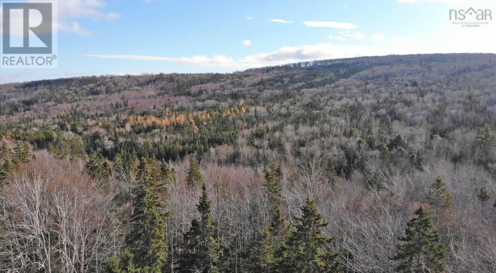 46 Acres Washabuck Road, Lower Washabuck, Nova Scotia  B2C 1N4 - Photo 15 - 202609869