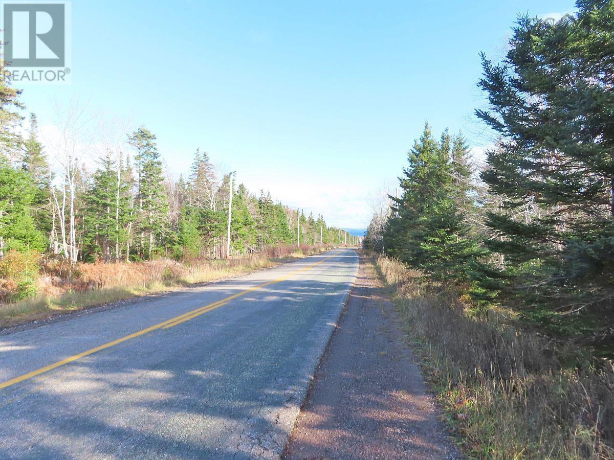 46 Acres Washabuck Road, Lower Washabuck, Nova Scotia  B2C 1N4 - Photo 18 - 202609869