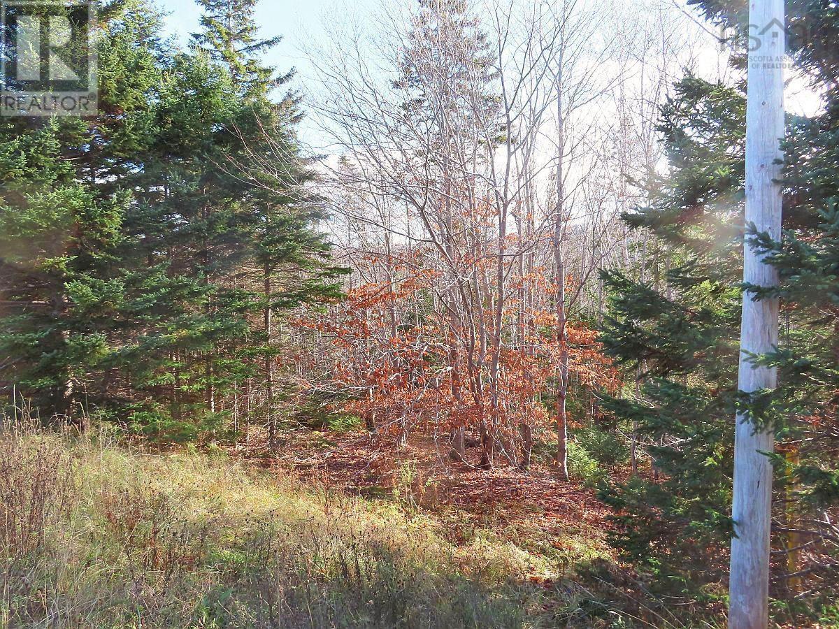 46 Acres Washabuck Road, Lower Washabuck, Nova Scotia  B2C 1N4 - Photo 21 - 202609869