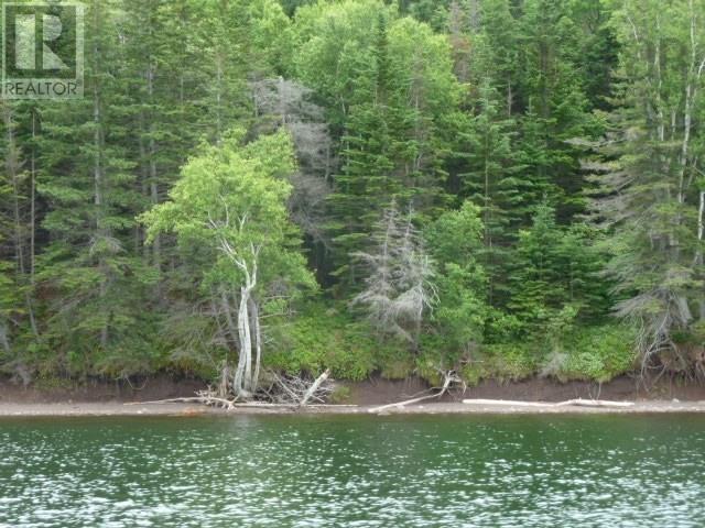 46 Acres Washabuck Road, Lower Washabuck, Nova Scotia  B2C 1N4 - Photo 41 - 202609869