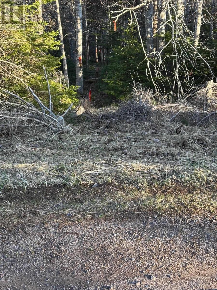 46 Acres Washabuck Road, Lower Washabuck, Nova Scotia  B2C 1N4 - Photo 43 - 202609869