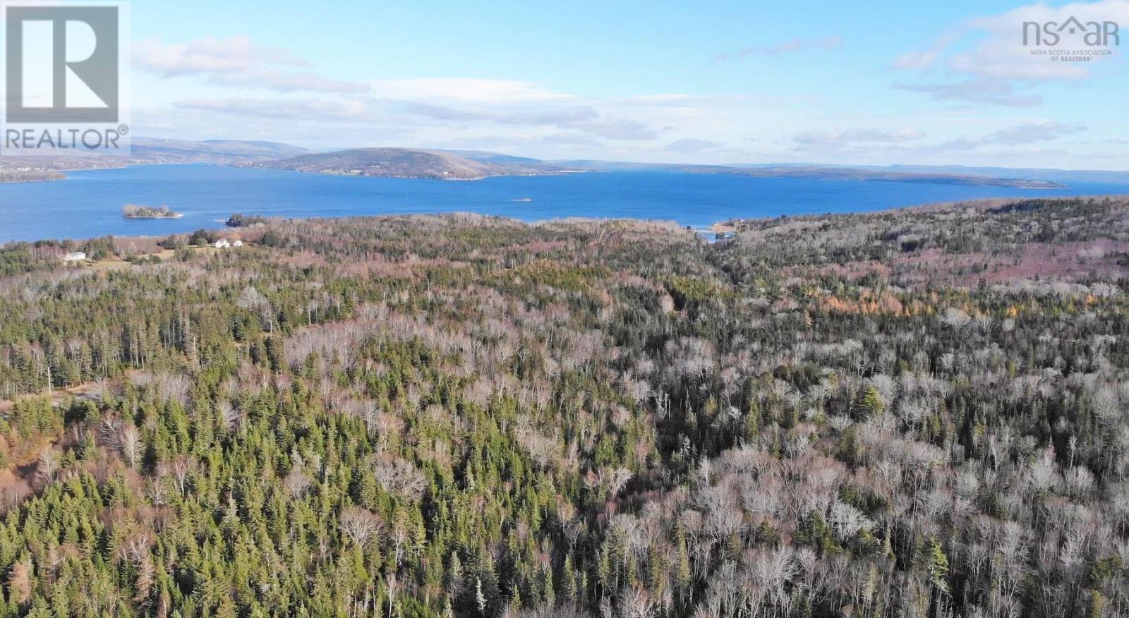 46 Acres Washabuck Road, Lower Washabuck, Nova Scotia  B2C 1N4 - Photo 5 - 202609869