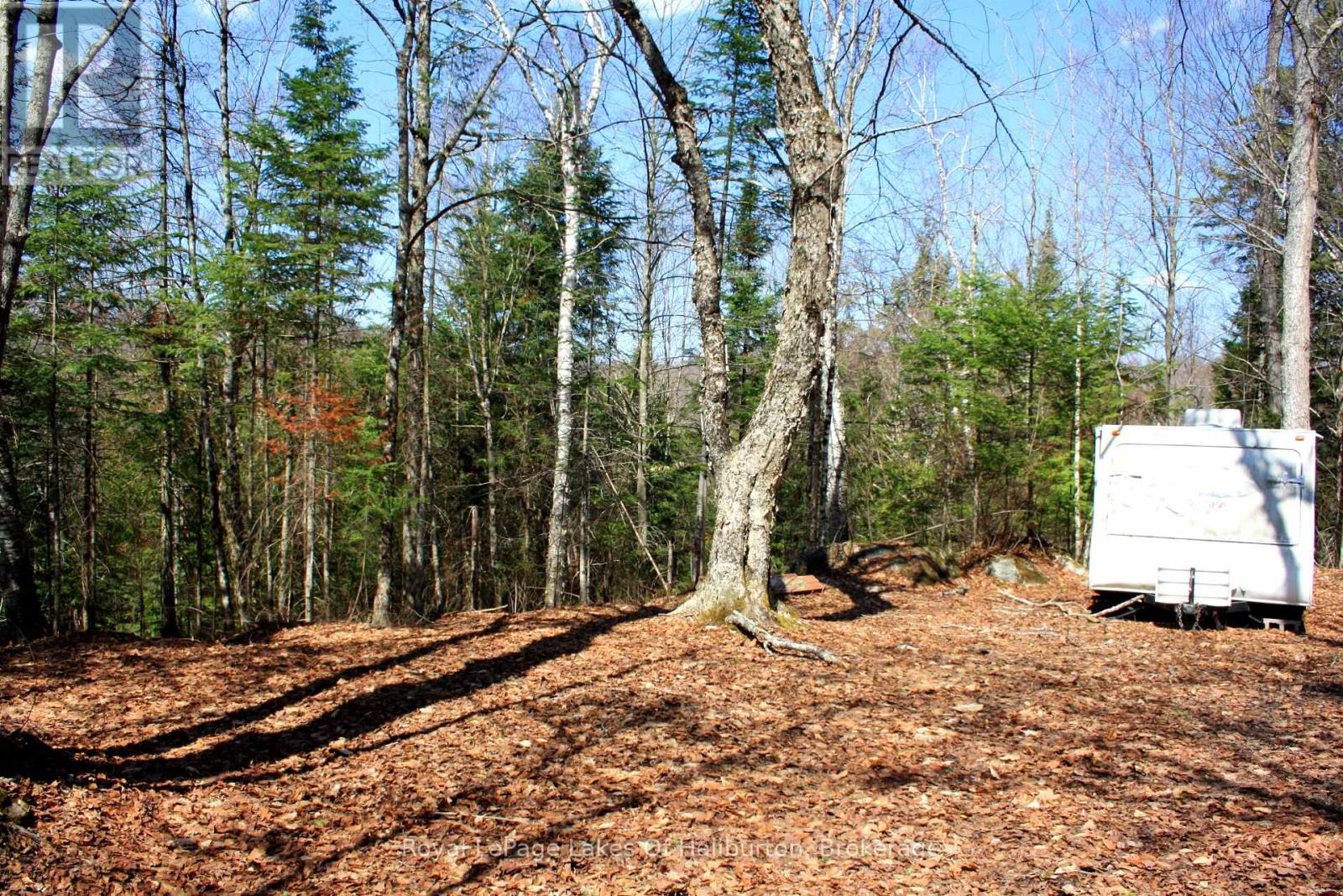 1143 Esson Creek Lane, Highlands East, Ontario  K0L 2Y0 - Photo 11 - X13089554