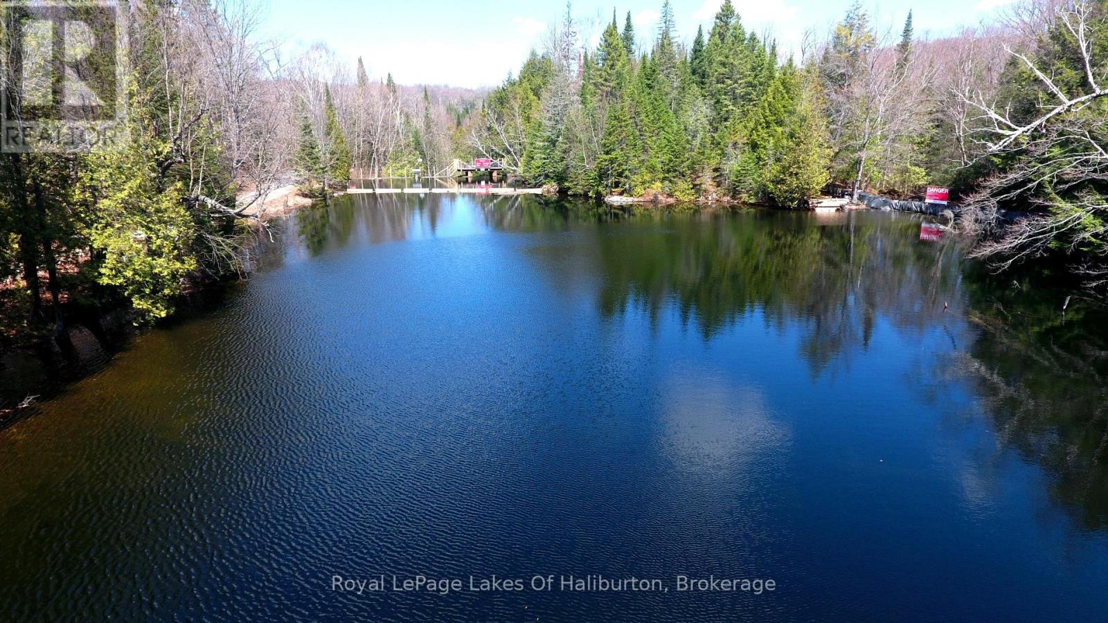 1143 Esson Creek Lane, Highlands East, Ontario  K0L 2Y0 - Photo 6 - X13089554