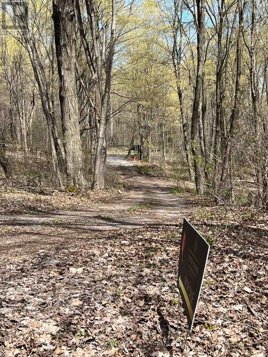 Lot 5 Mccarthy Lane, Prince Edward County, Ontario  K0K 2T0 - Photo 20 - X13084682
