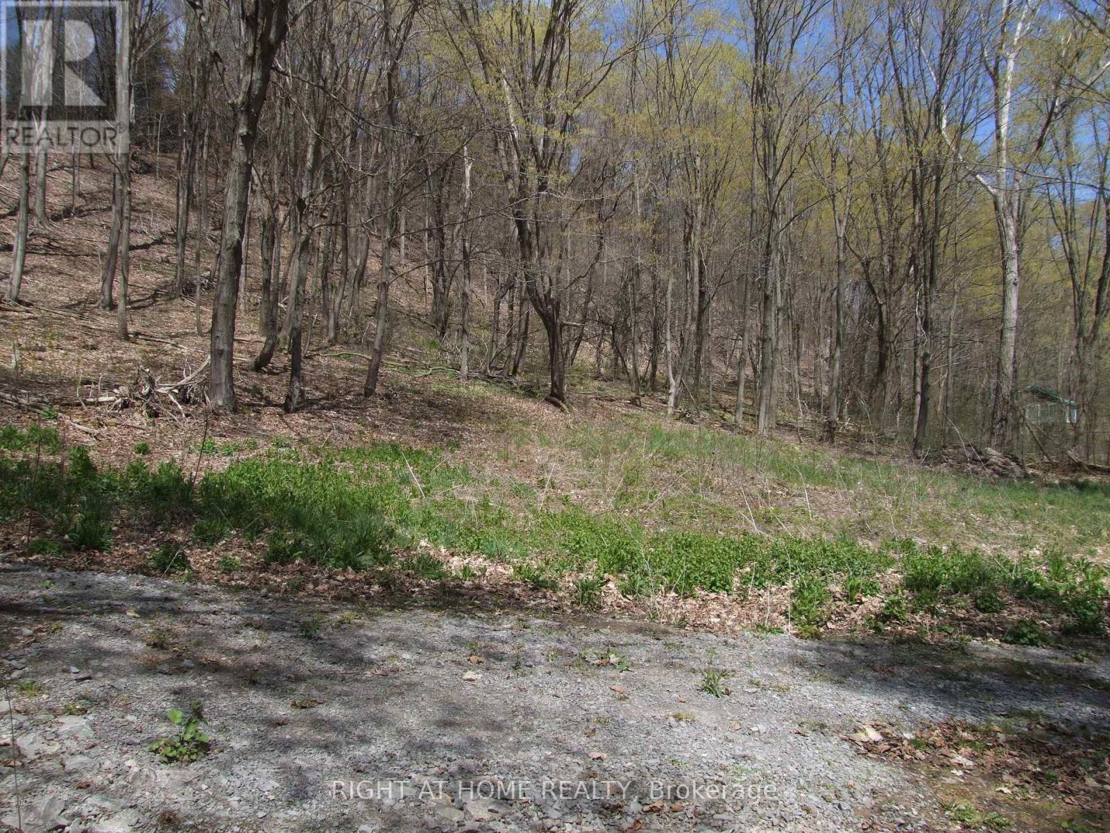 Lot 5 Mccarthy Lane, Prince Edward County, Ontario  K0K 2T0 - Photo 22 - X13084682