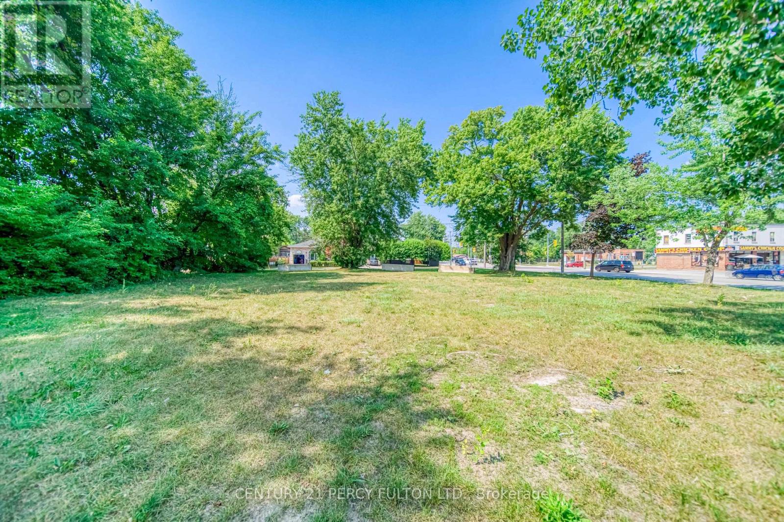 236 Cameron Crescent, Georgina, Ontario  L4P 2A9 - Photo 13 - N13089604