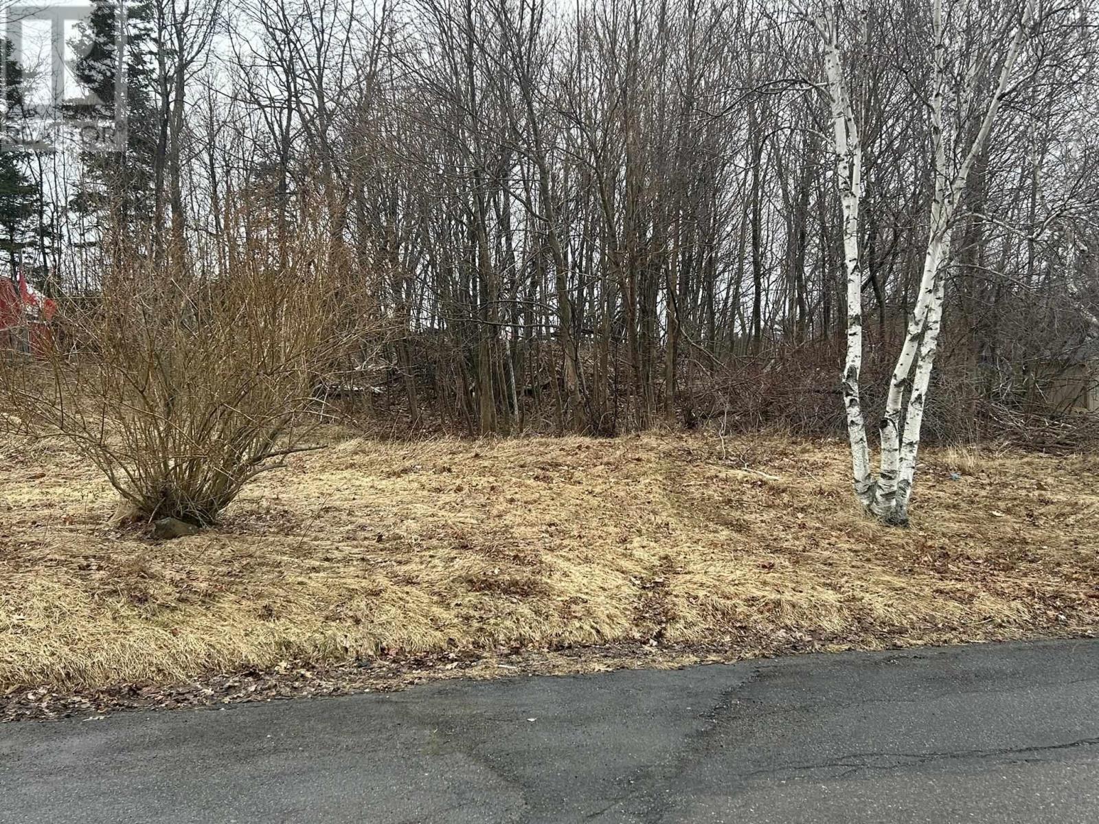 Lot 1 511 Birch Street, New Glasgow, Nova Scotia  B2H 1Y2 - Photo 2 - 202608392