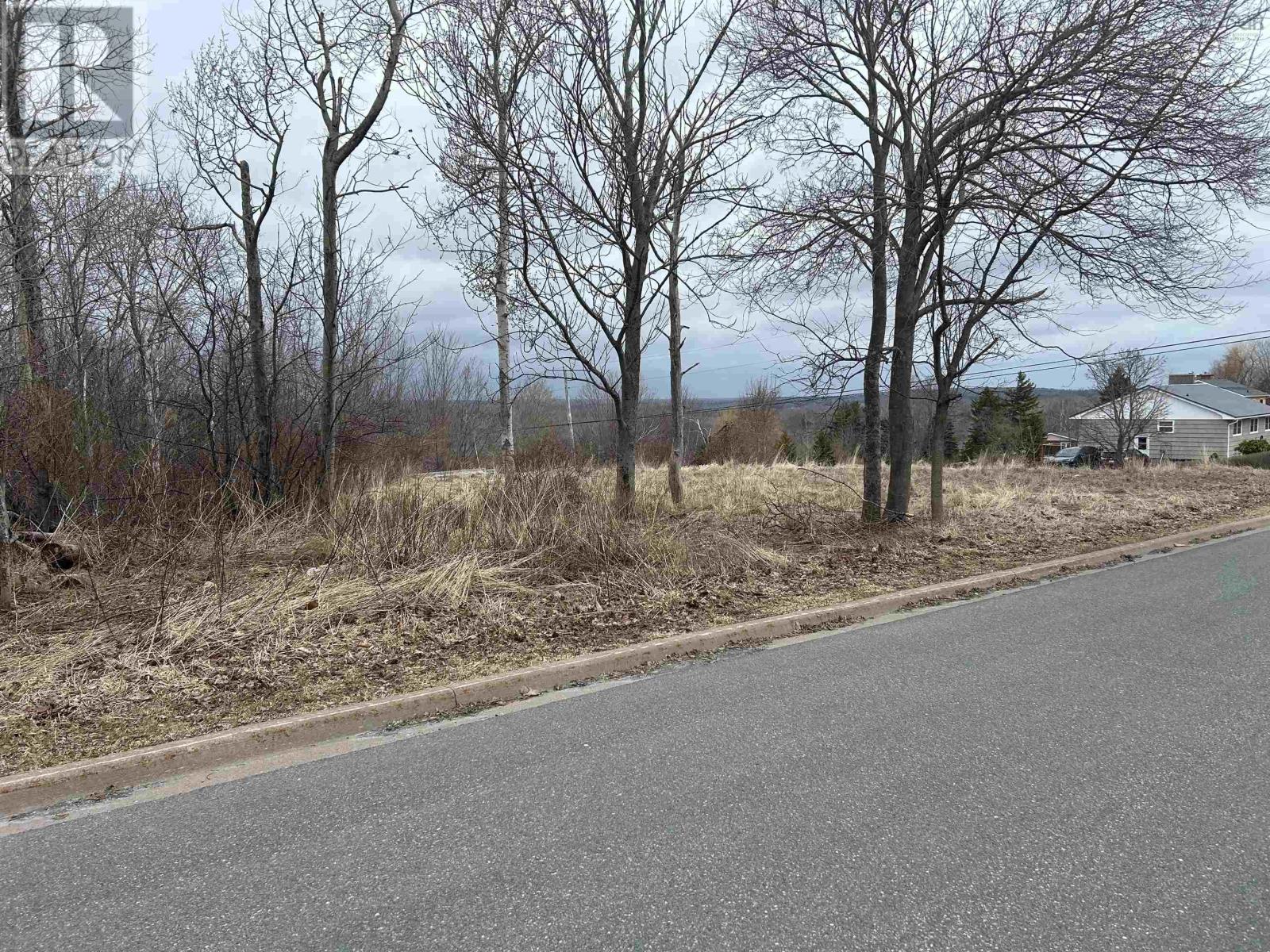 33 Twelfth Street, Trenton, Nova Scotia  B0K 1X0 - Photo 3 - 202608818