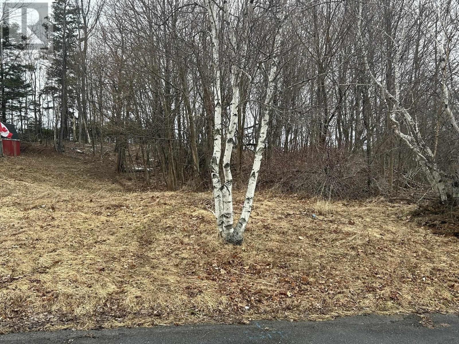 Lot 1 511 BIRCH Street, New Glasgow, Nova Scotia