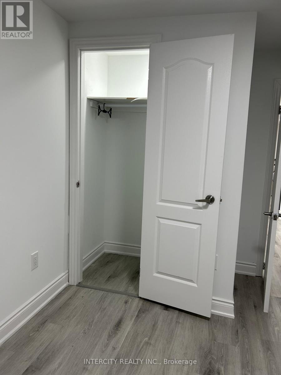 Basement - 260 Britannia Avenue, Bradford West Gwillimbury, Ontario  L3Z 1A7 - Photo 10 - N13090096