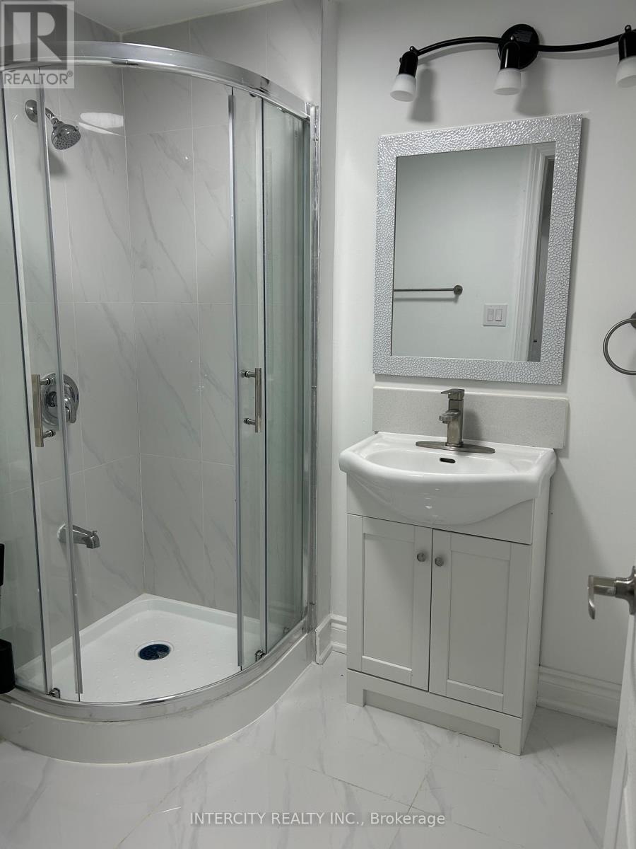 Basement - 260 Britannia Avenue, Bradford West Gwillimbury, Ontario  L3Z 1A7 - Photo 11 - N13090096