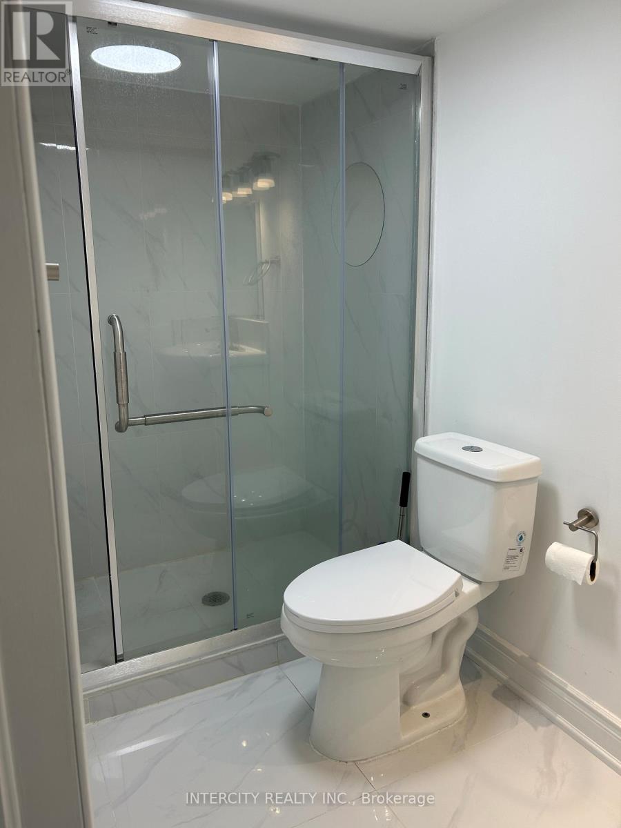 Basement - 260 Britannia Avenue, Bradford West Gwillimbury, Ontario  L3Z 1A7 - Photo 6 - N13090096