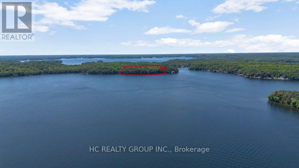 R60- Pt5 Tobins Island, Muskoka Lakes, Ontario  P0B 1J0 - Photo 10 - X13089976