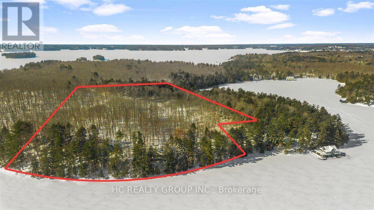 R60- Pt5 Tobins Island, Muskoka Lakes, Ontario  P0B 1J0 - Photo 18 - X13089976
