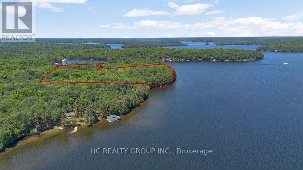 R60- Pt5 Tobins Island, Muskoka Lakes, Ontario  P0B 1J0 - Photo 8 - X13089976