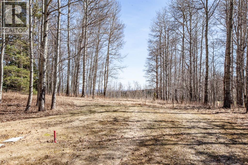 24 Sunrise Way, Rural Foothills County, Alberta  T0L 1W3 - Photo 25 - A2303634